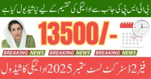 BISP 8171 Phase 2 District Payment List Announced For 2025: Complete Guide