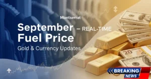 Fuel Price – Real-Time Gold & Currency Updates