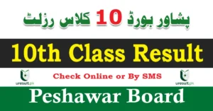 BISE Peshawar Matric Results 2025 Announced – Check Your Marks Online Now