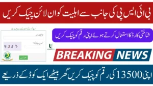 BISP 8171 CNIC Check Online 2025 Complete Guide to Receive the Rs. 13,500 Payment