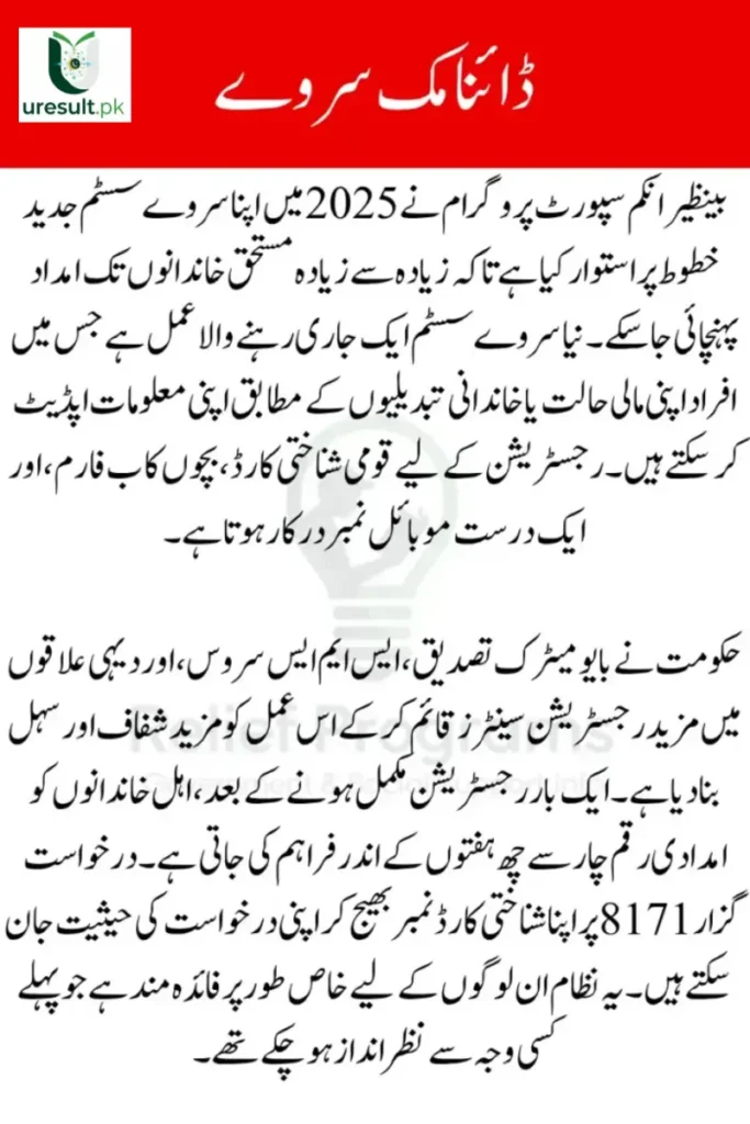 BISP Dynamic Survey 2025