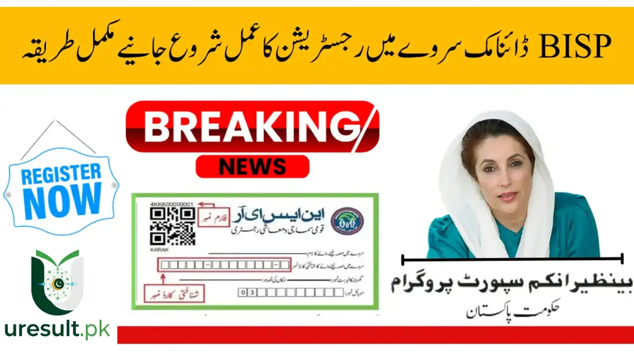 BISP Dynamic Survey 2025