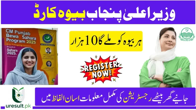 CM Punjab Bewa Sahara Card 2025