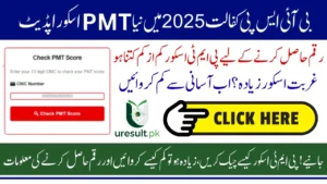 How BISP Poverty Score 2025 Impacts Your Chances of Getting Payment